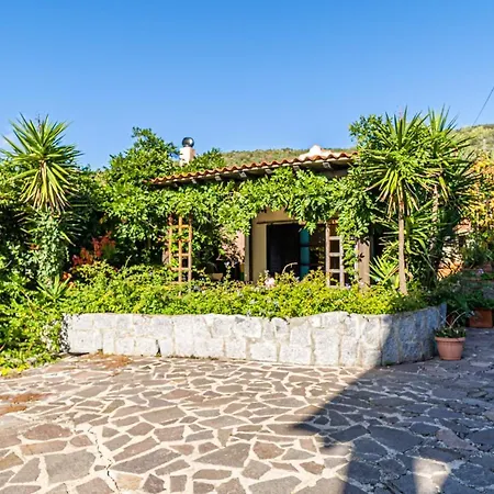 Filetto A Marina Di Campo * Literno